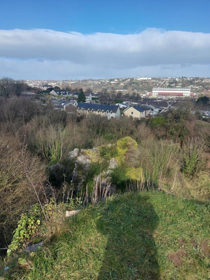 Blackrock Carole Ville Guesthouse Cork Eksteriør bilde