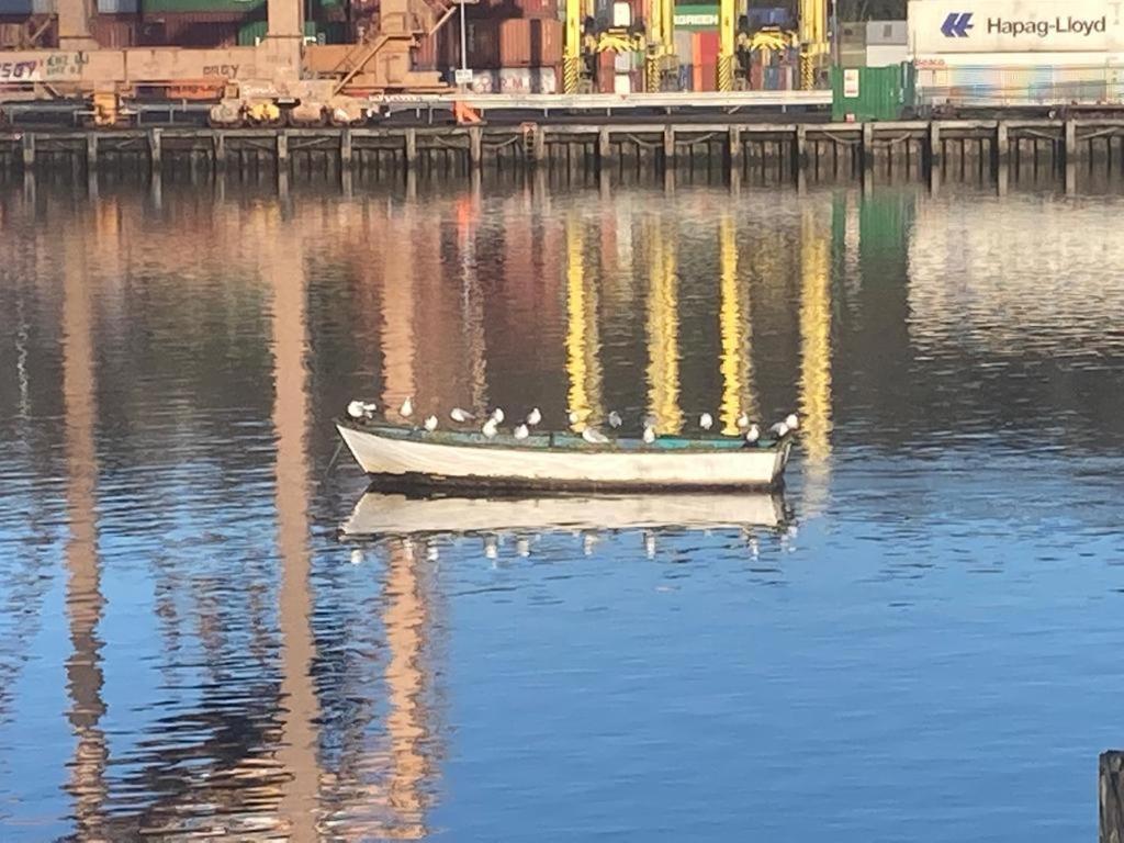 Blackrock Carole Ville Guesthouse Cork Eksteriør bilde