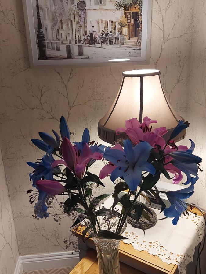 Blackrock Carole Ville Guesthouse Cork Eksteriør bilde